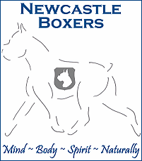 Newcastle Boxers